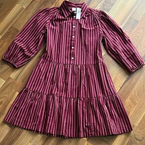 GAP Woman’s Size XS Burgundy Striped Dress NWT